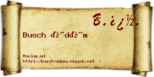 Busch Ádám névjegykártya
